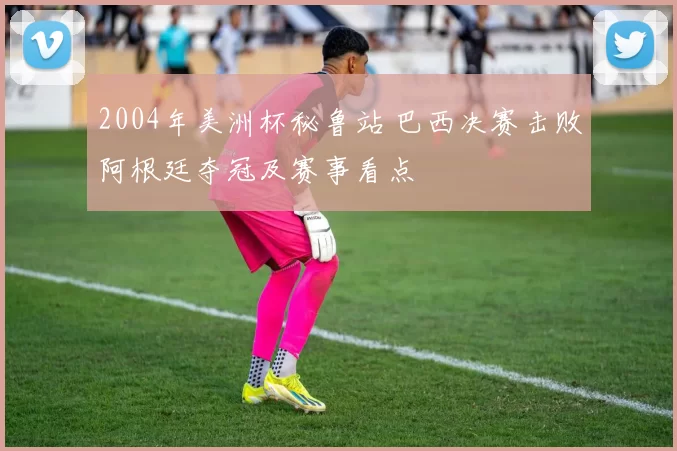 2004年美洲杯秘鲁站 巴西决赛击败阿根廷夺冠及赛事看点