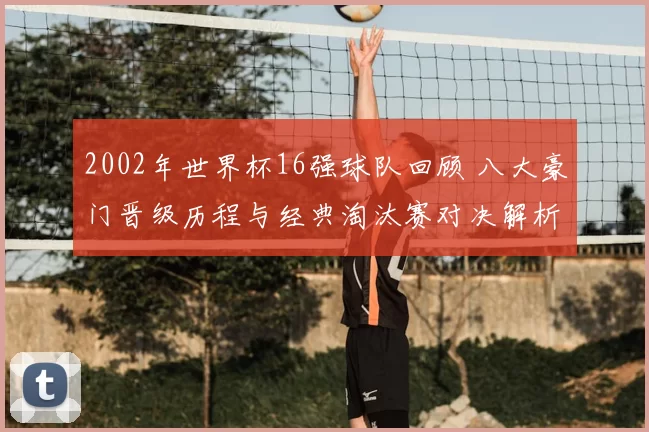 2002年世界杯16强球队回顾 八大豪门晋级历程与经典淘汰赛对决解析